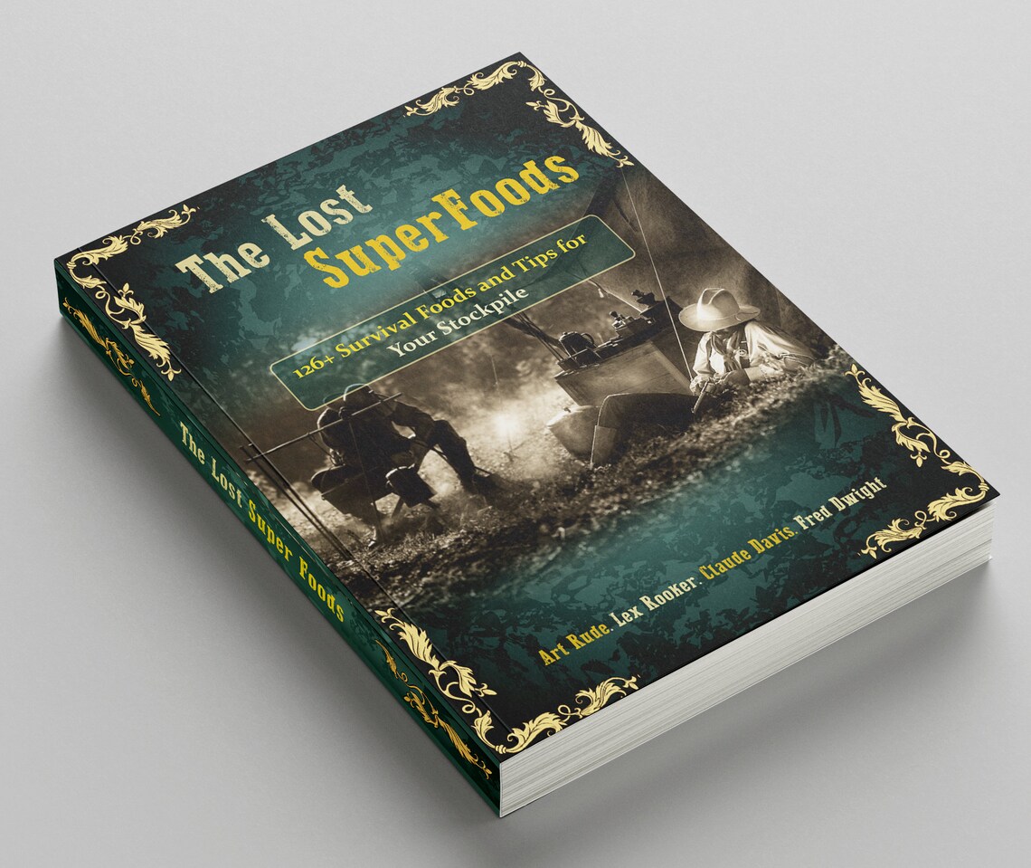 The Lost Book of Super Foods Etsy Canada