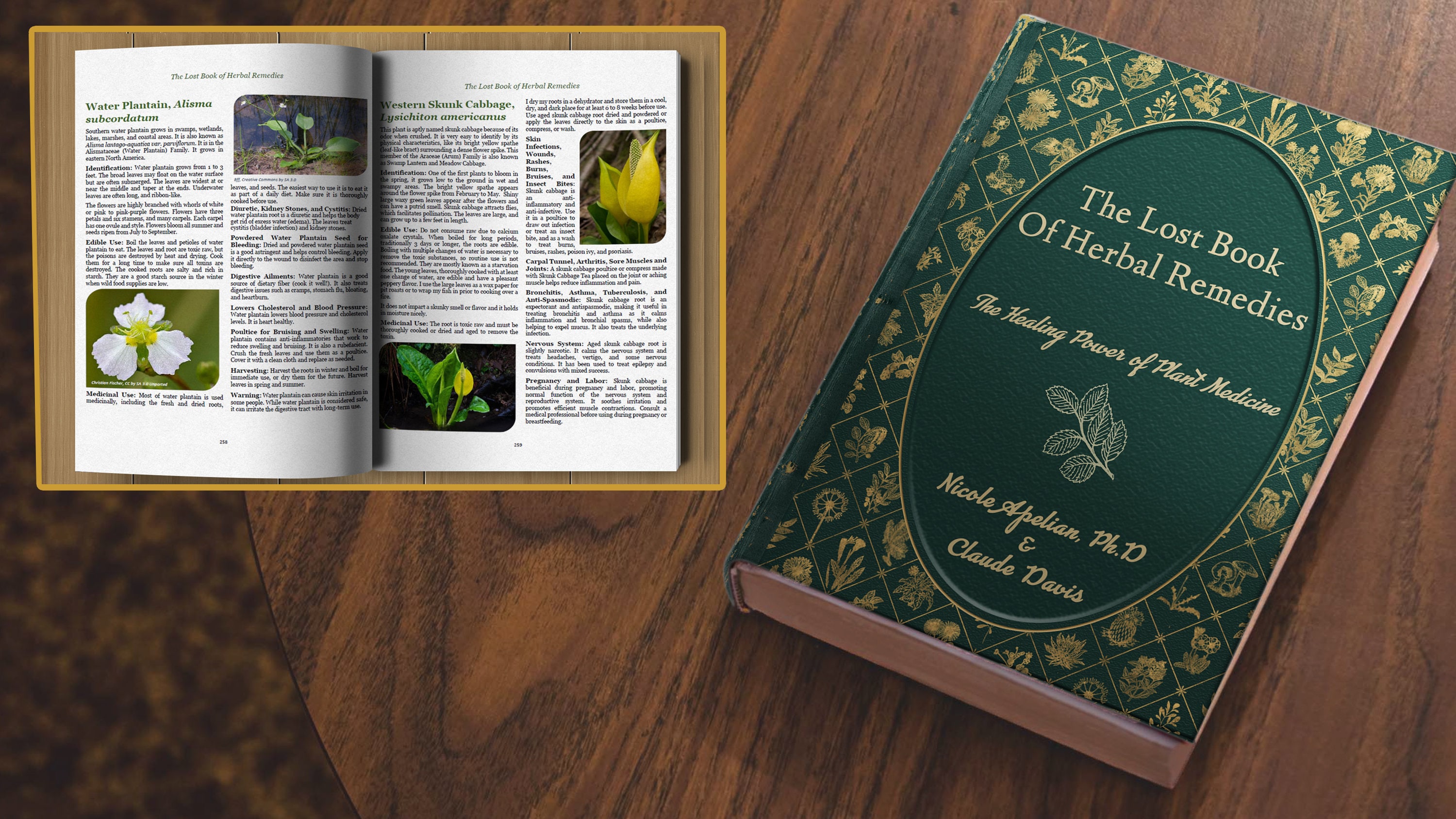 Le livre perdu des remèdes à base de plantes par le Dr Nicole