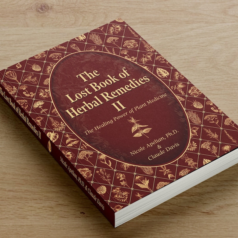 The Natural Healing Handbook by Greenhaven Press Etsy Canada