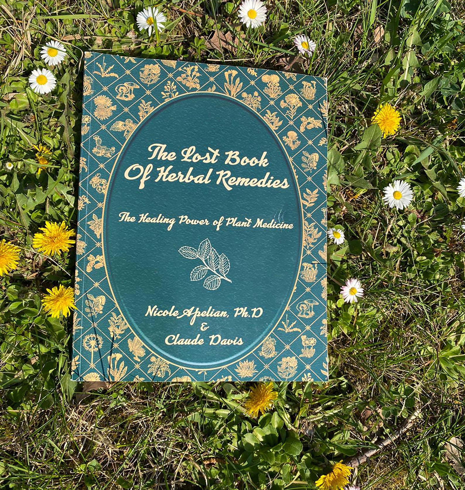 The Lost Book of Herbal Remedies by Dr. Nicole Apelian Etsy