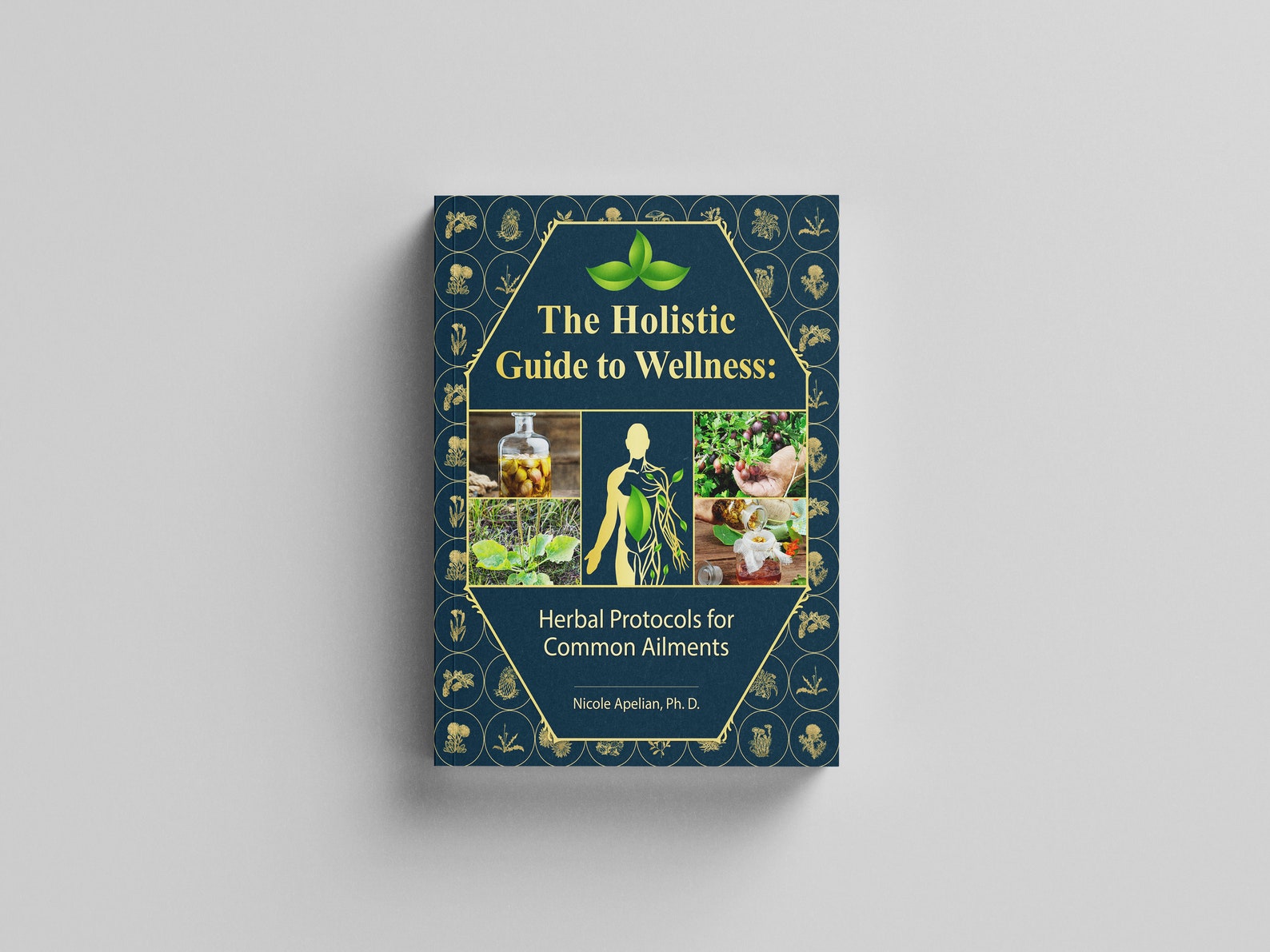 The Holistic Guide to Wellness: Herbal Protocols for Common Ailments - Etsy