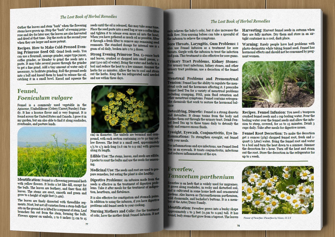 The Lost Book of Herbal Remedies by Dr. Nicole Apelian | Etsy
