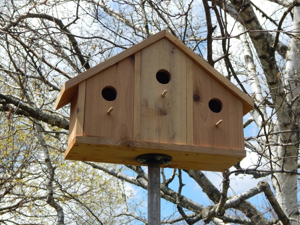 Cedar Bird House Hotel Etsy