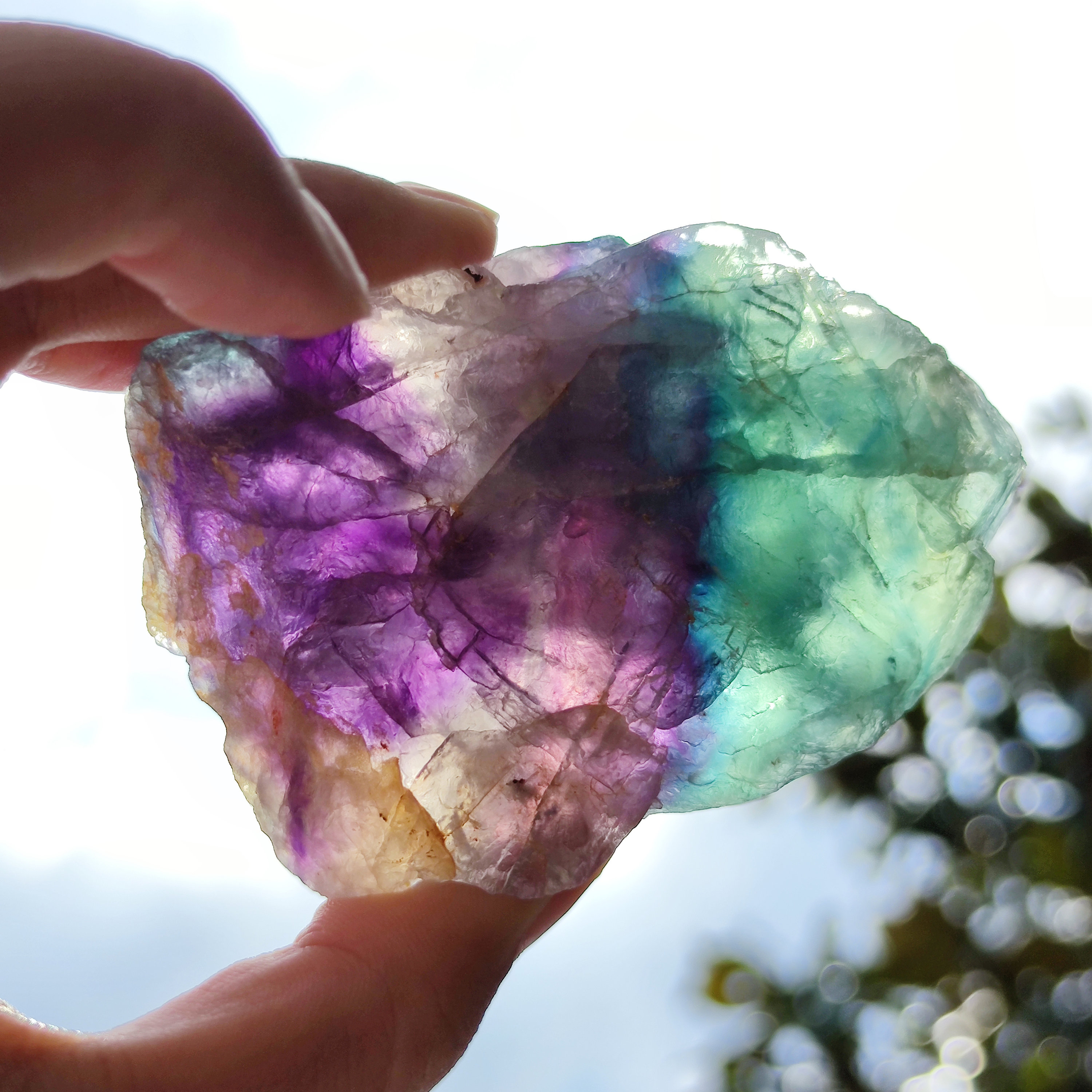 Large Rainbow Fluorite Raw Natural Crystals/purple | Etsy