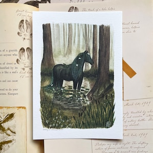 Kelpie in swamp landscape art print, unique fantasy gift, watercolor fantasy illustrations, magical creatures art, folklore artwork in A5