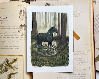 Peut inclure: Peinture à l'aquarelle d'un cheval noir se tenant dans une clairière de forêt avec une végétation verte et des nénuphars. Le cheval a une longue crinière et une longue queue noires. La peinture est signée "Brittany Compass 2023".
