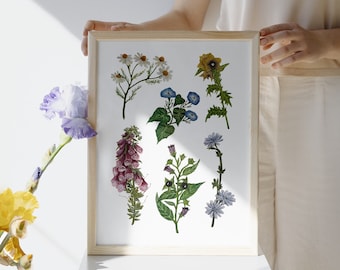 Bunte Wildblumen botanische Illustration, florales Kunstwerk, große A3 Wandkunst