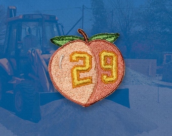 The Big Dumper Patch | Cal Raleigh 29 Tribute | Seattle Baseball Iron-On/Sew-On