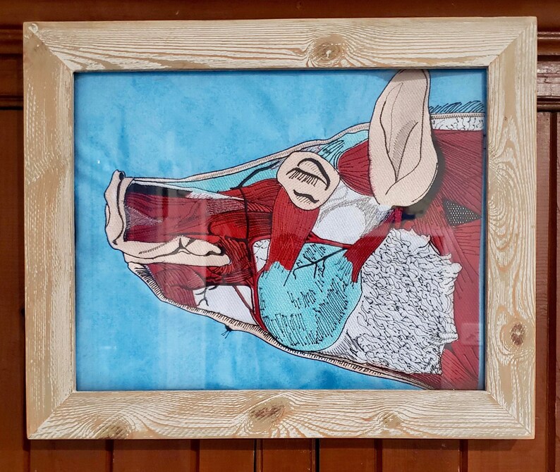Pig Anatomy Animal Dissection Embroidery Wall Hanging Etsy UK