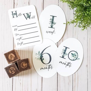 Hitos mensuales digitales para bebés / imprimibles / tarjetas botánicas para bebés / conjunto de 16