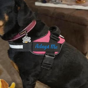 Parche personalizado con el nombre de tu mascota, placa de identificación de cuero personalizada para perro, accesorios para arnés, chaleco y collar de mascota, etiqueta con el nombre del perro, etiqueta para la correa del pecho del perro.