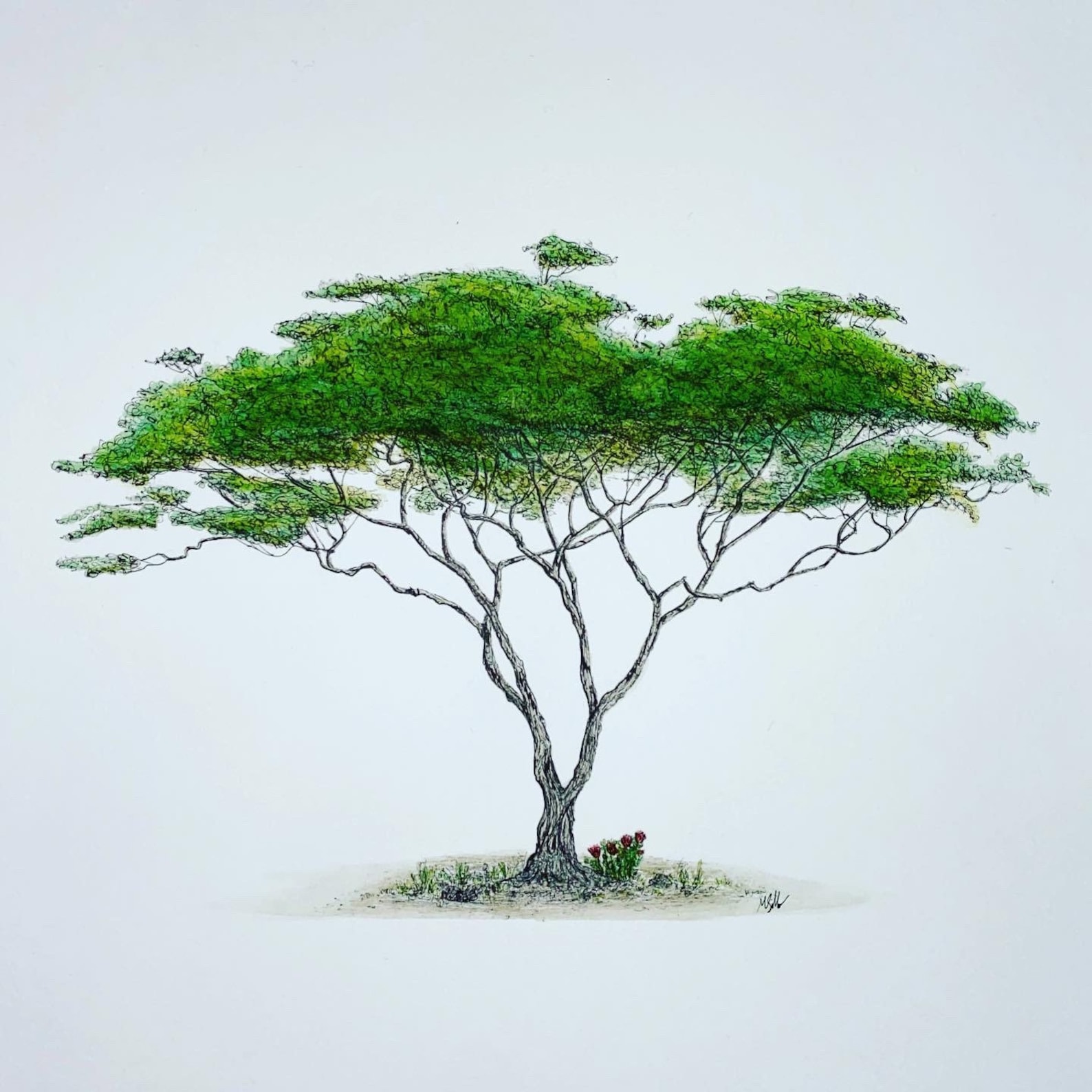 African Acacia Tree Original Wall Painting. Fine line ink Etsy