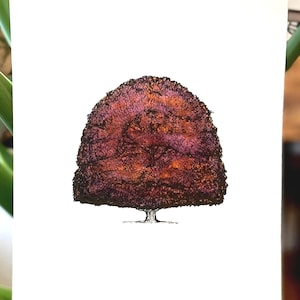 May include: A square print featuring a detailed illustration of a tree with a full, rounded crown. The tree's foliage is rendered in shades of brown and purple, with a textured appearance. The trunk and branches are black.