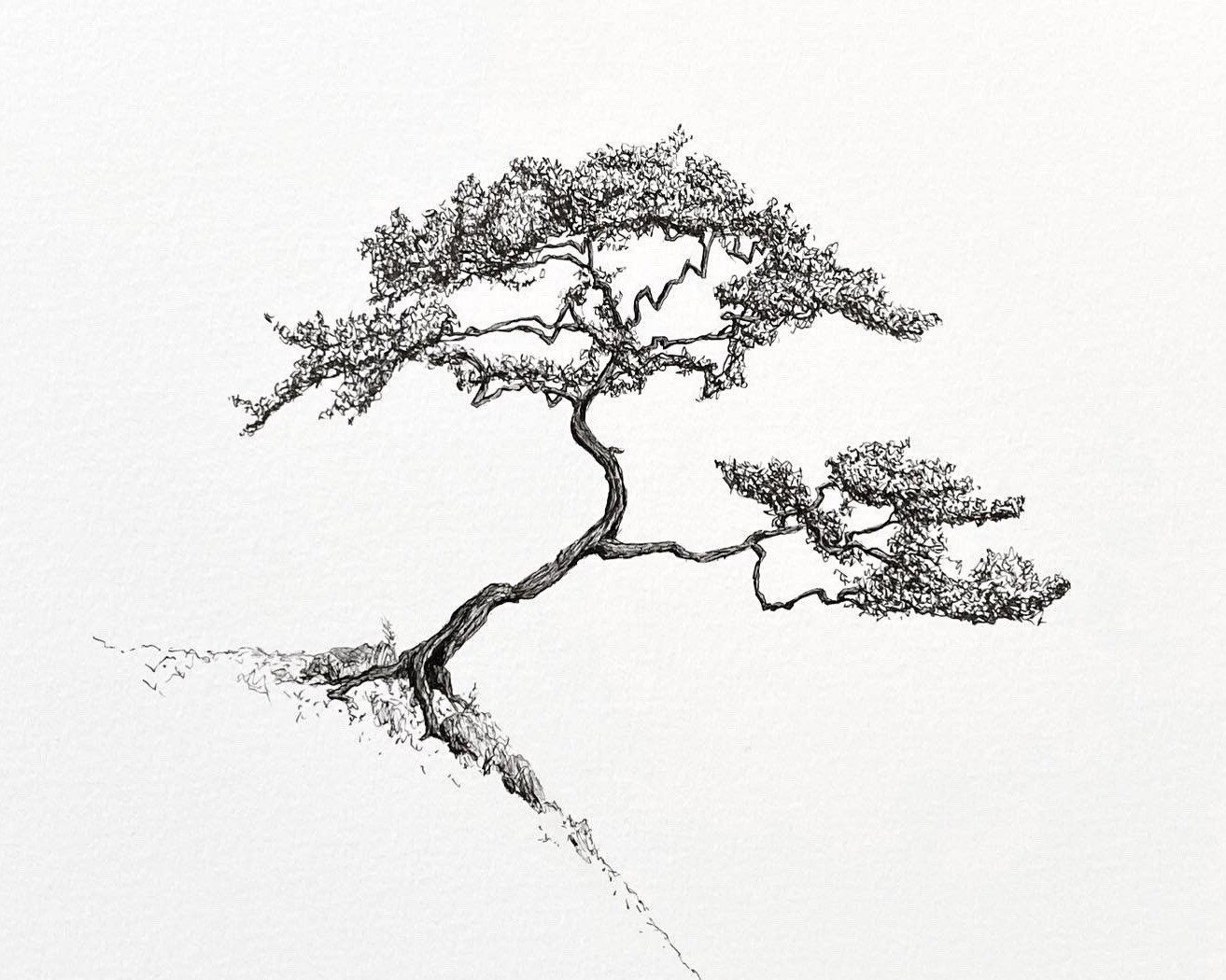 wall-drawing-trees-reliable-quality-clc-cet-edu