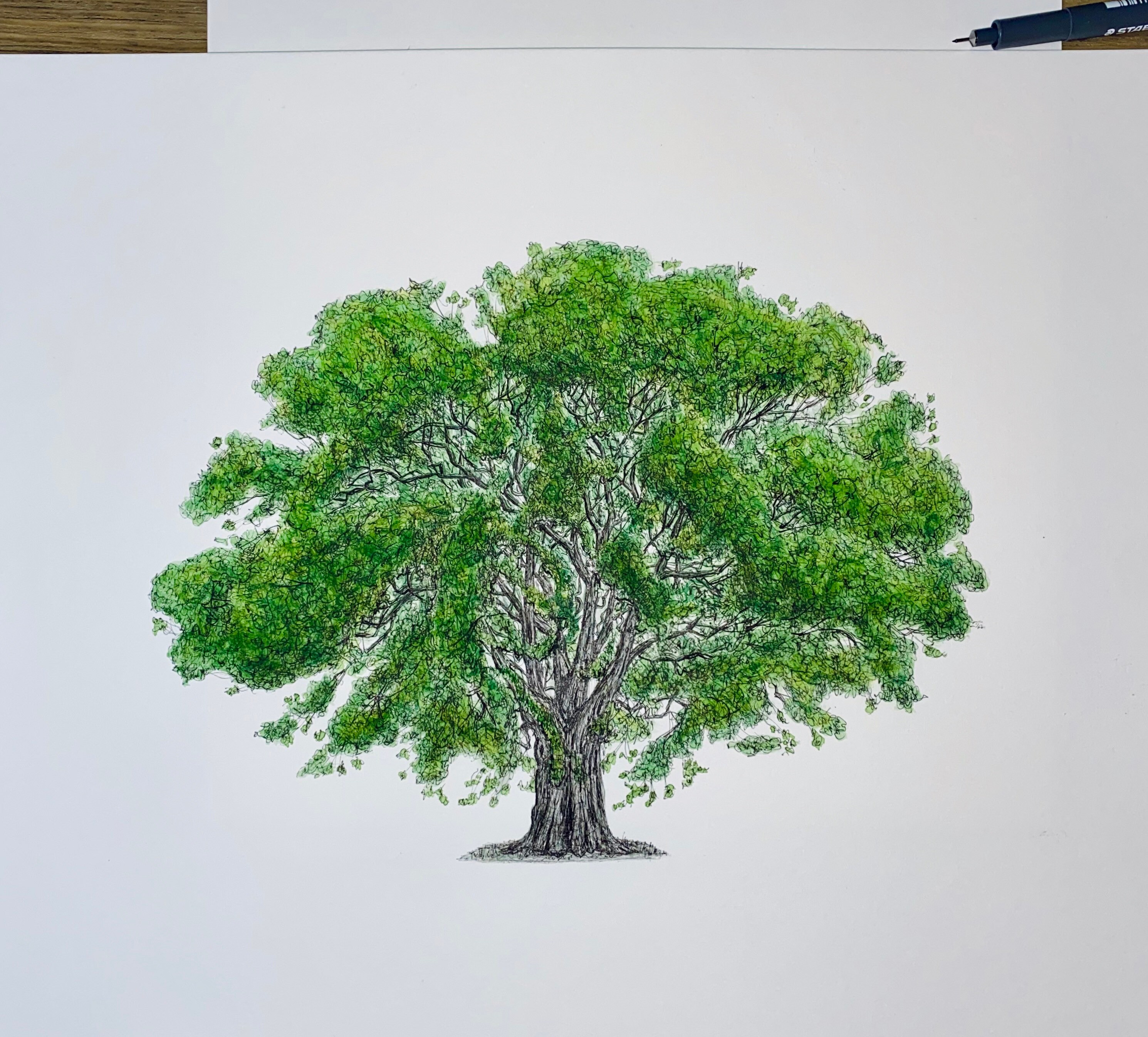 Eiche Original Tinte und Aquarell Kunstwerk. Große Landschaft | Etsy