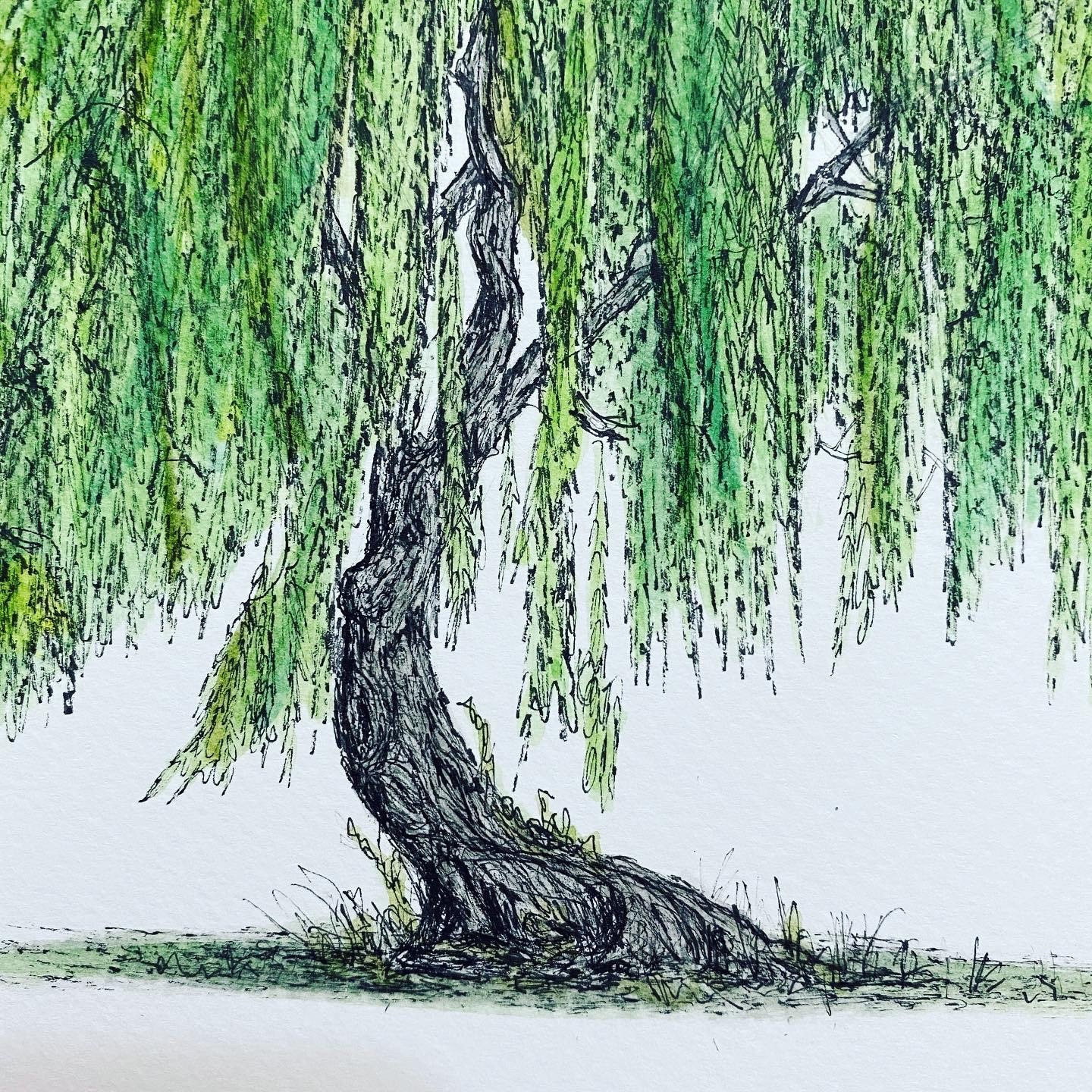 Willow Tree Original illustration. Fine line wall art. Etsy