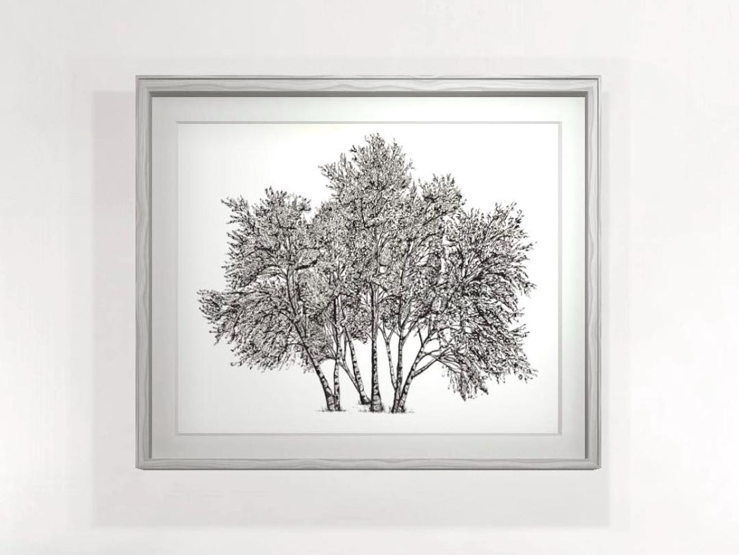 Birch Trees | Fine Ink Large Wall Artwork. Original, Hand Drawn Pen and ...