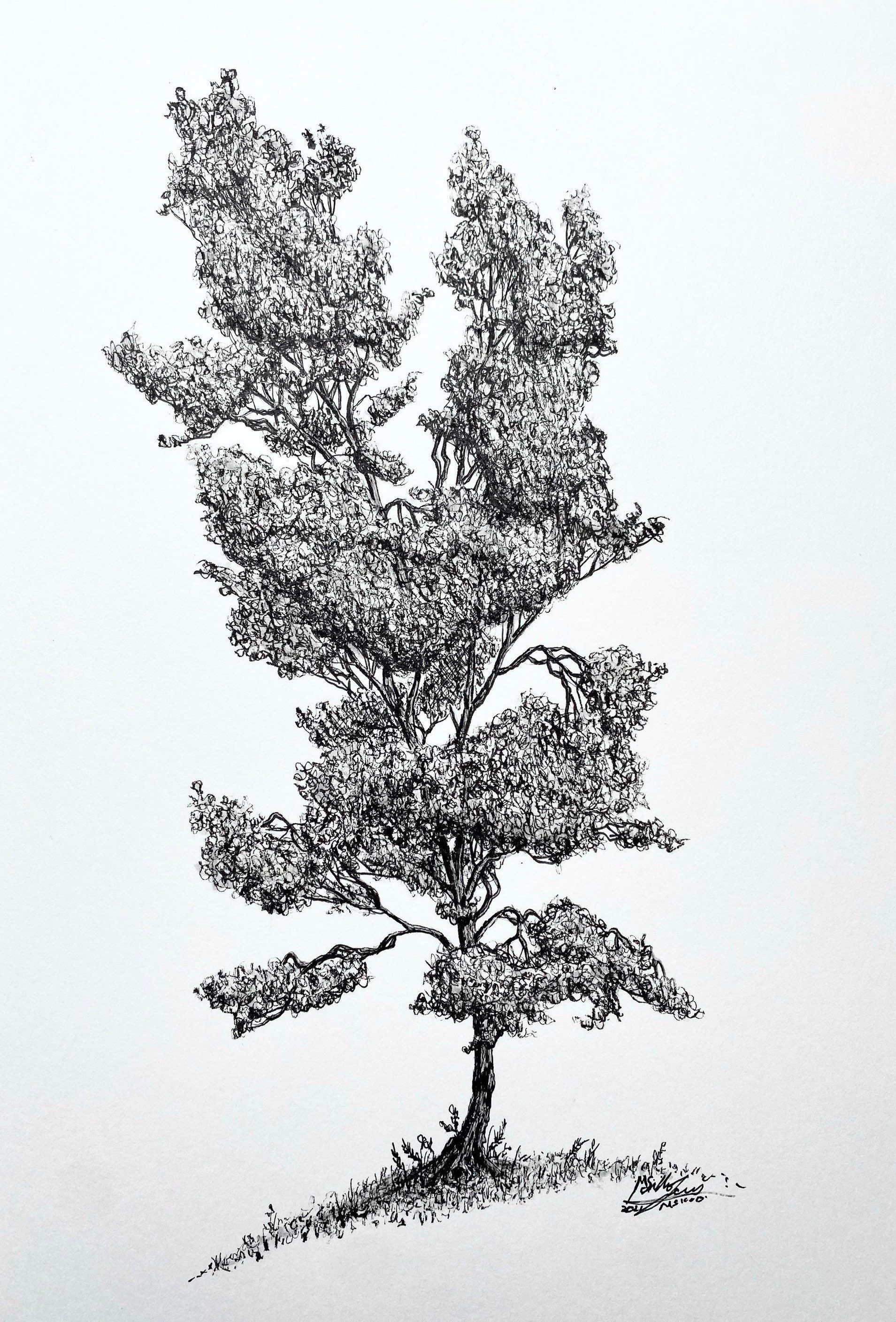 Original Tree Drawing Pen and Ink. A4 Portrait. Black and Etsy