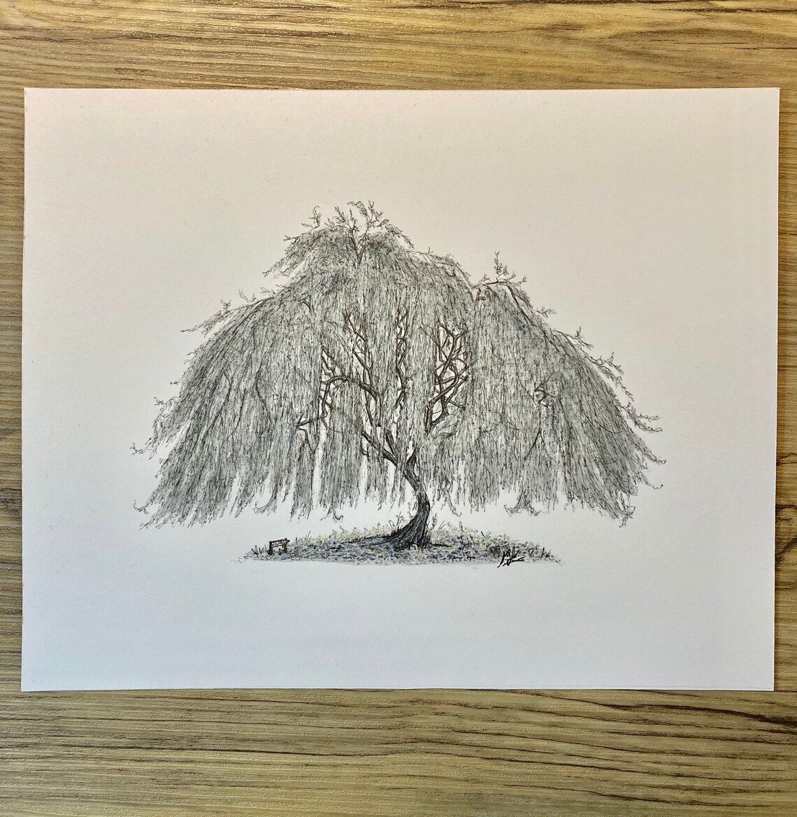 Original Ink Willow Hand Drawn Illustration / Black Grey Etsy