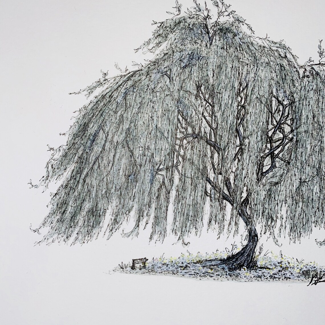 Original Ink Willow Hand Drawn Illustration / Black Grey Etsy