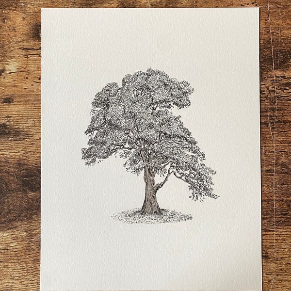 Hand Drawn Oak Tree - Etsy