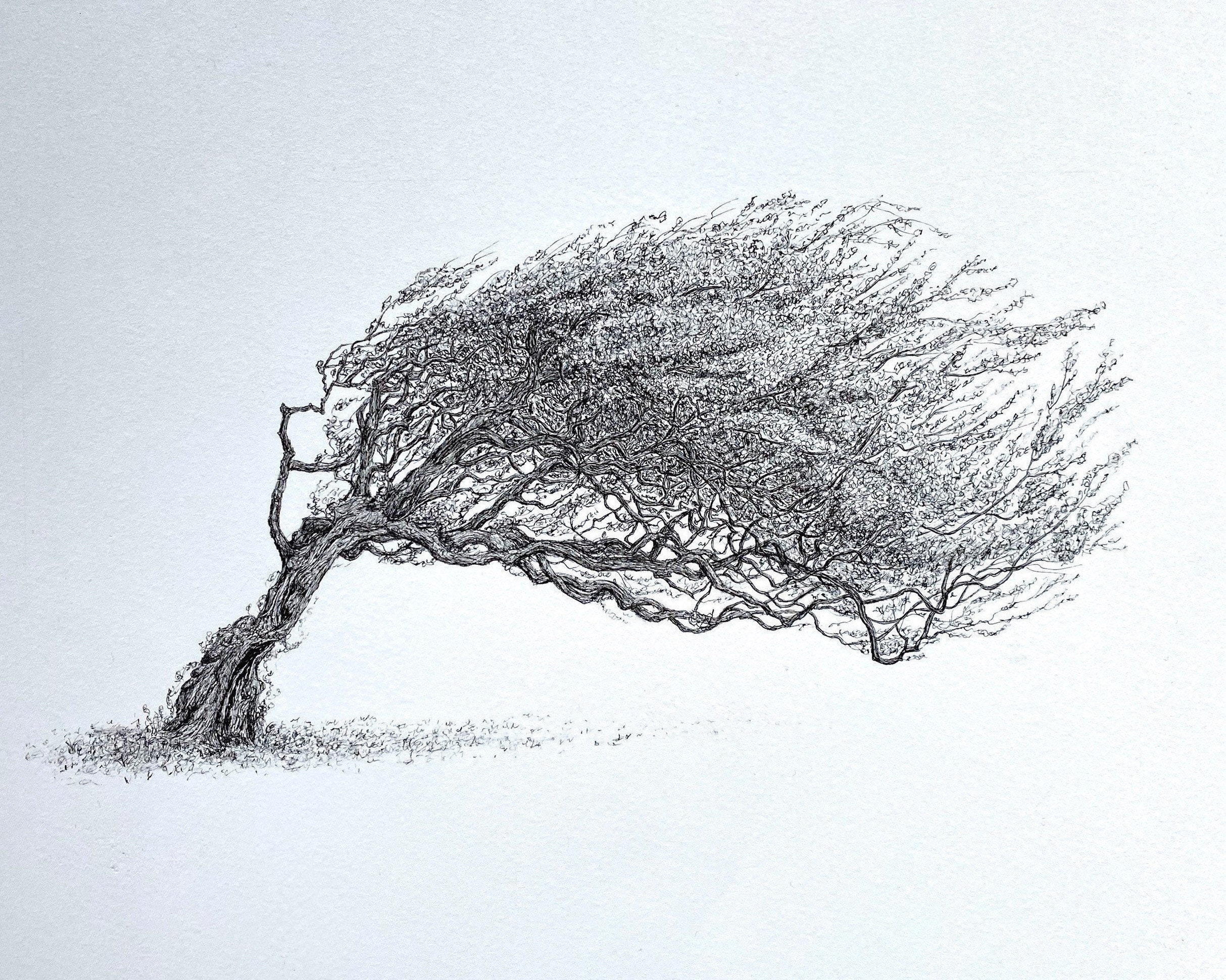 Windswept Ink Original. Tree Artist MSillo. Fine line black Etsy