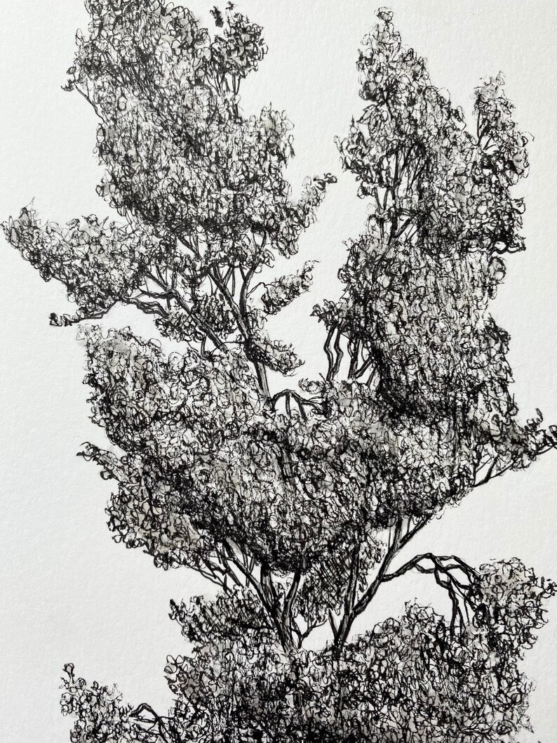 Original Tree Drawing Pen and Ink. A4 Portrait. Black and Etsy