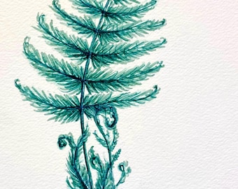 Fern Botanical Original illustration. Large portrait, A4 wall art. Traditional minimal nature drawing, leaf species painting. Artist signed.