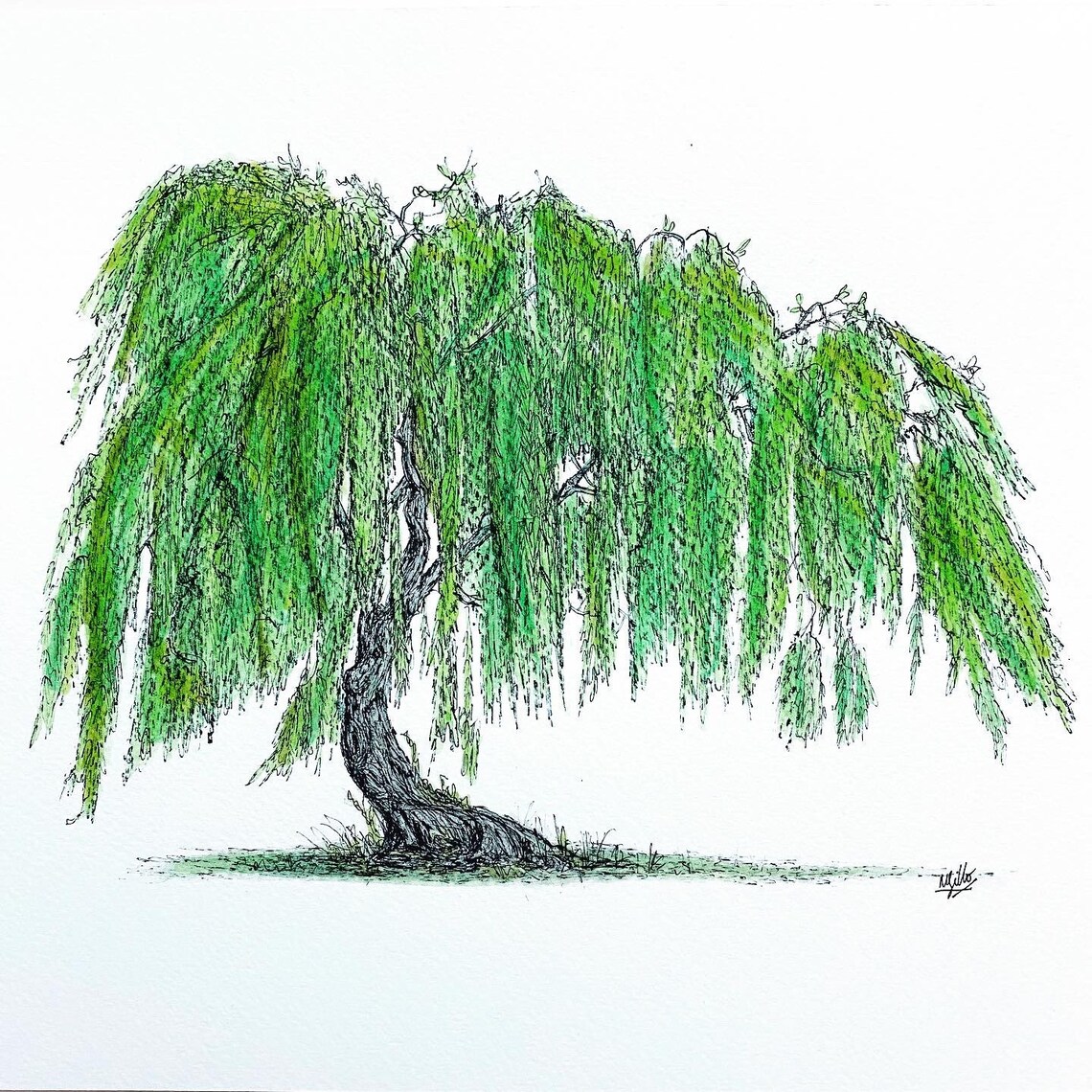 Willow Tree Original illustration. Fine line wall art. Etsy