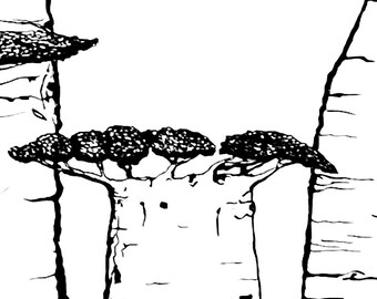 The Baobabs | Large Fine Ink Artwork | Original pen and ink line drawing. Black and white landscape wall art. Tree Artist african nature art