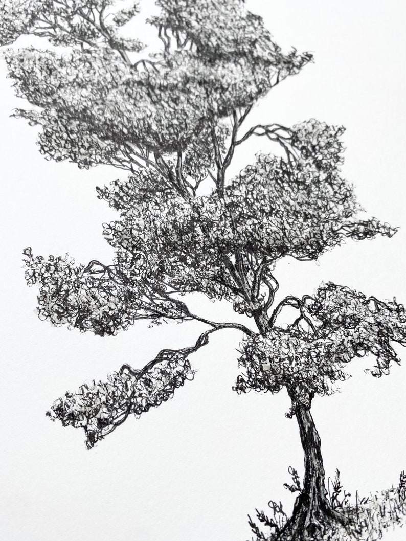 Original Tree Drawing Pen and Ink. A4 Portrait. Black and Etsy
