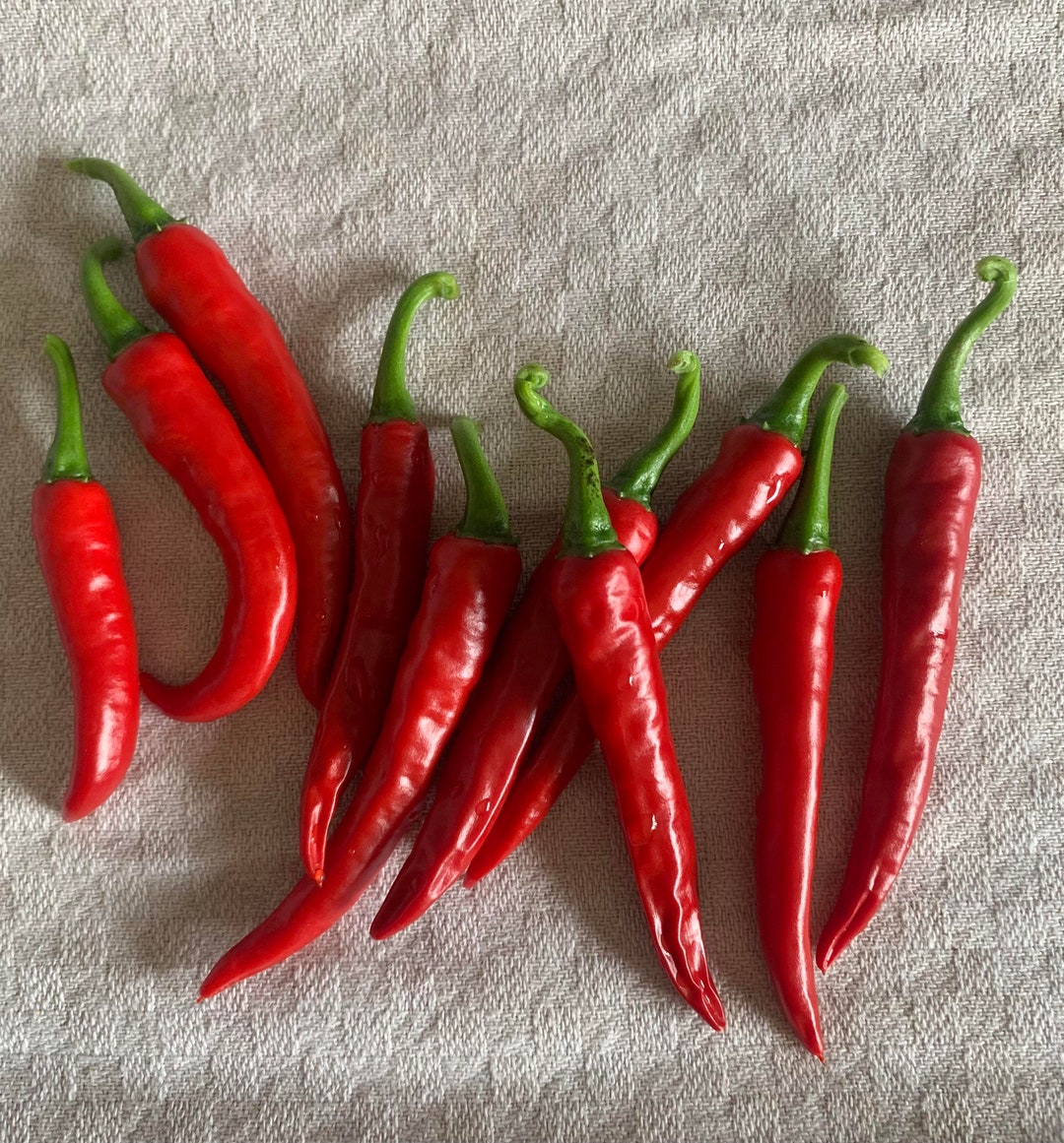 Fresh Ground Ring of Fire Cayenne Pepper Powder Etsy