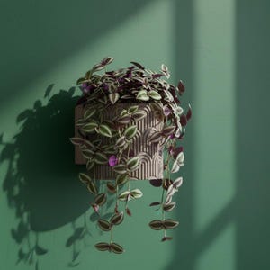 Self-Draining 3D Printed Wall Planter – Stylish Indoor Hanging Pot