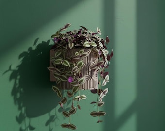 Self-Draining 3D Printed Wall Planter – Stylish Indoor Hanging Pot