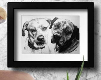 Hand drawn | Pencil Pet Portrait | Pencil Drawing | Custom Portrait | Dog & Cat Pencil Portrait