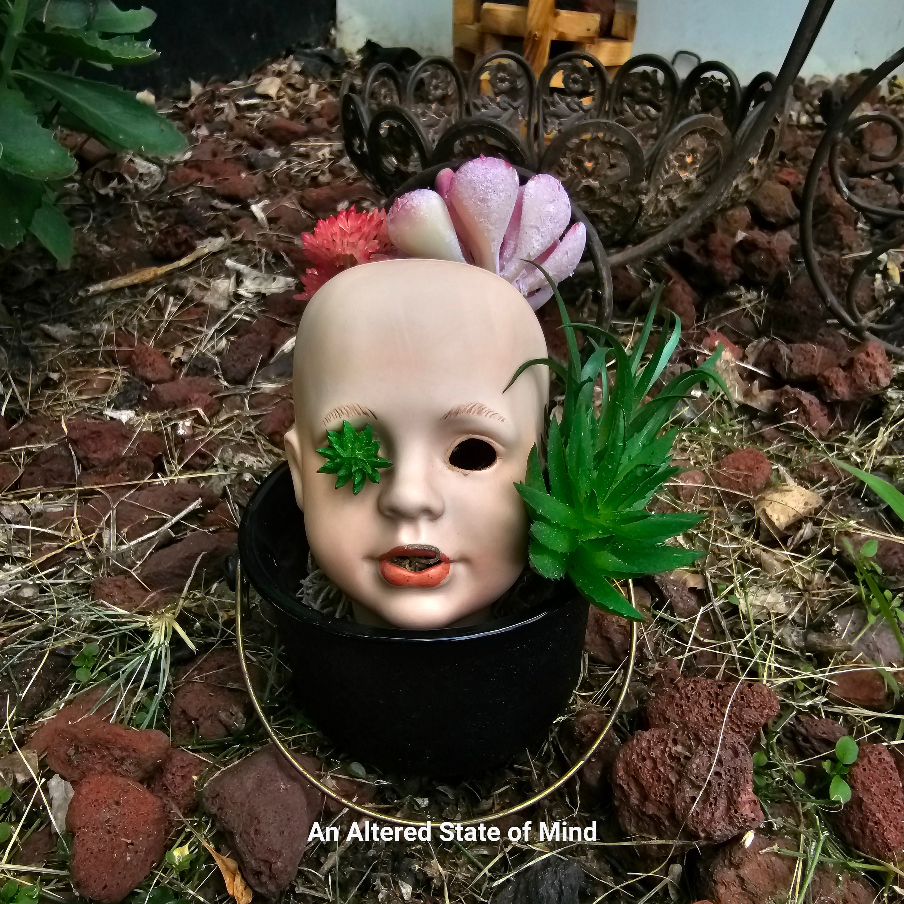 Baby Head Planter, Creepy Baby, Creepy Doll Planter, Gothic Gifts for Her,  Scary Planter, Succulents Planter, Gothic Decor, Gothic Succulent 