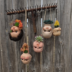 Puede incluir: Una exhibición rústica de cabezas de muñecas reutilizadas como macetas colgantes. Las macetas, suspendidas de una vieja rastra, presentan diversas suculentas y arreglos florales coloridos. La valla de madera desgastada sirve de fondo.
