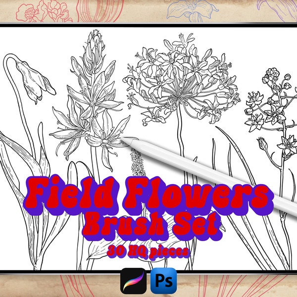 FIELD FLOWERS set1 30 brush stamps for Photoshop and Procreate tattoo decors motifs art nouveau bundle set decorations plants bouquet flower