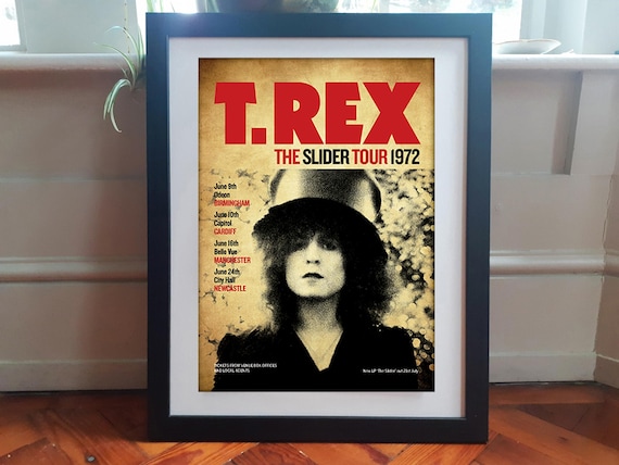 T.REX & Marc Bolan ピクチャーレコード 5枚セット Bolan, Marc & T. Rex 