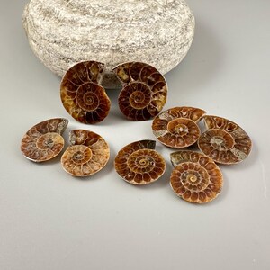 Polished Ammonite Split Pairs - Iridescent Madagascar Fossil Cabochons un-drilled - Choose Your Pair