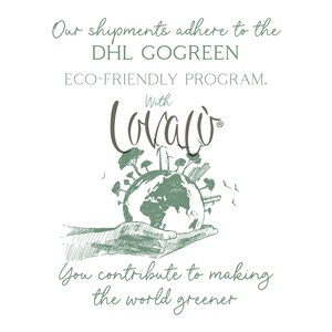 K&ouml;nnte beinhalten: Illustration eines gr&uuml;nen Globus, umgeben von B&auml;umen und Geb&auml;uden, gehalten in zwei H&auml;nden. Der Text "Our shipments adhere to the DHL GOGREEN ECO-FRIENDLY PROGRAM. With Lovalo You contribute to making the world greener" steht unter dem Bild.