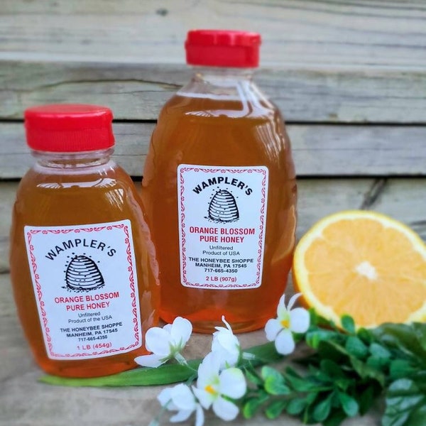 Florida Orange Blossom Honey - Pure and Unfiltered