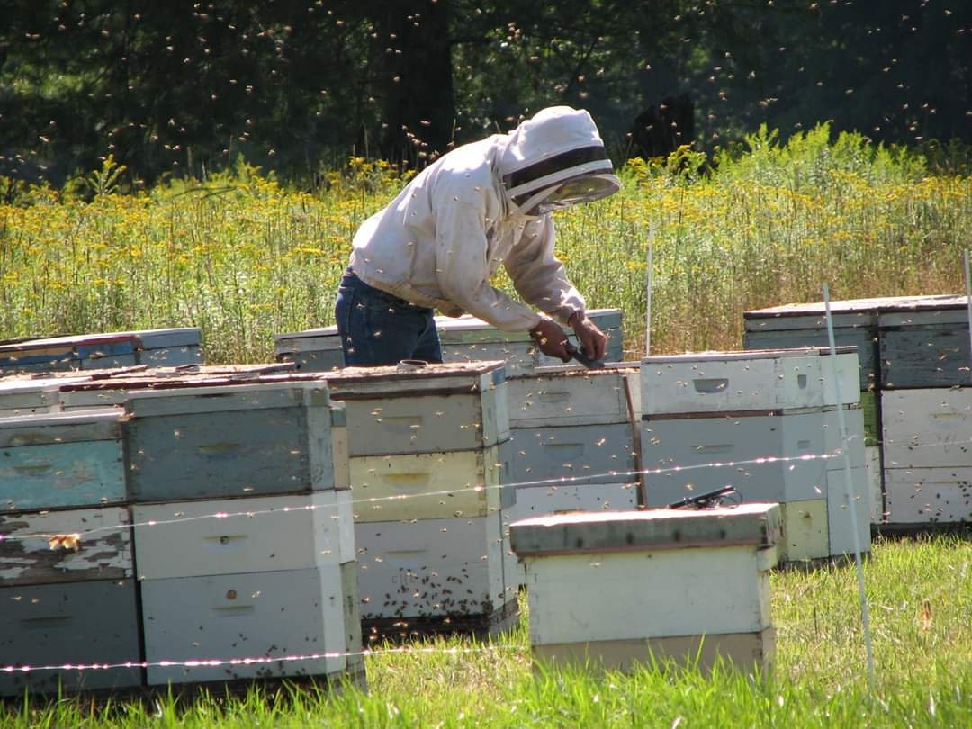 RAW Honey Lancaster County Spring Blossom Pure Etsy