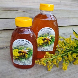 RAW Honey | Pennsylvania Pure Mountain Wildflower Honey | Unfiltered