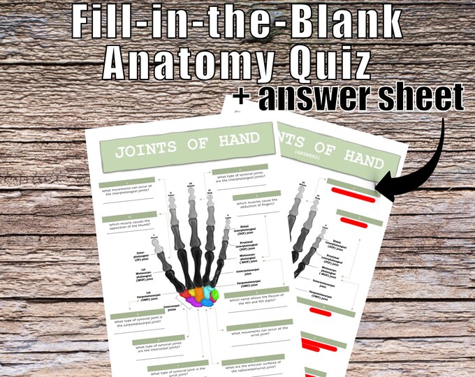 Joints of the Hand Anatomy QUIZ Worksheet + Answers - Digital Download Printable Anatomy Worksheet Nurse Science Biology Student Study Notes