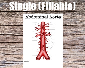 Abdominal Aorta Anatomy Worksheet- Single FILLABLE- Digital Download Human Anatomy Notes Study Learning Anatomy Medical Poster Med Student