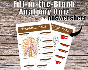 Thoracic Cage Anatomy QUIZ Worksheet + Answers - Digital Download Printable Anatomy Worksheet Med Nurse PA Biology Student Study Notes