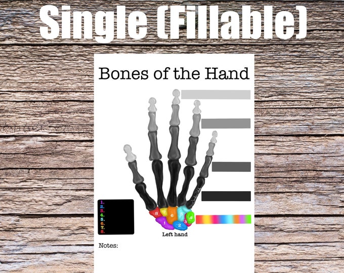 Bones of the Hand Anatomy Worksheet- Single FILLABLE- Digital Download Human Anatomy Notes Study Learning Anatomy Medical Poster Med Student