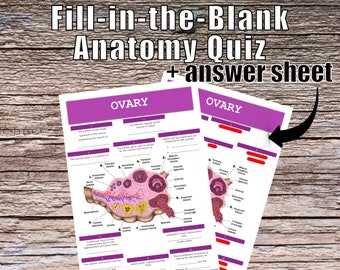 Ovary Anatomy QUIZ Worksheet + Answers - Digital Download Printable Anatomy Worksheet Med Nurse PA Science Biology Student Study Notes