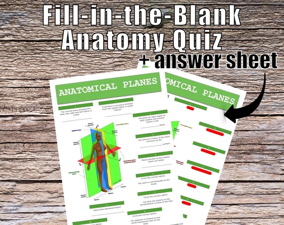 Anatomical Planes Anatomy QUIZ Worksheet + Answers - Digital Download Printable Anatomy Worksheet Science Biology Student Study Notes